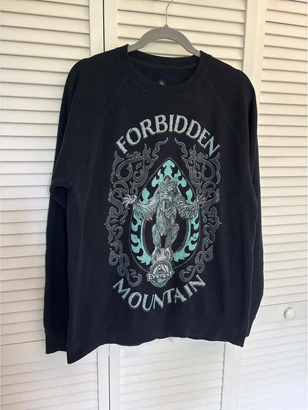 Disney Animal Kingdom Mount Everest Graphic Sweatshirt